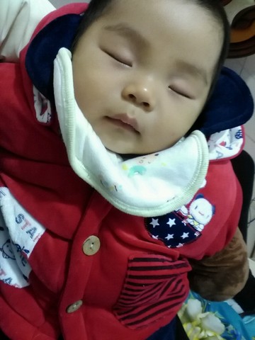 journal_insert_pic_204167421