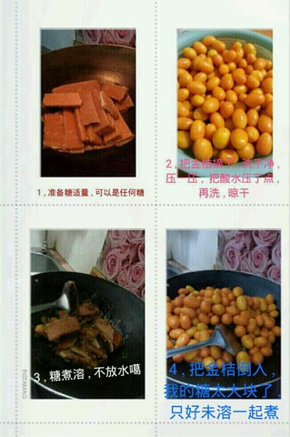 journal_insert_pic_204639665