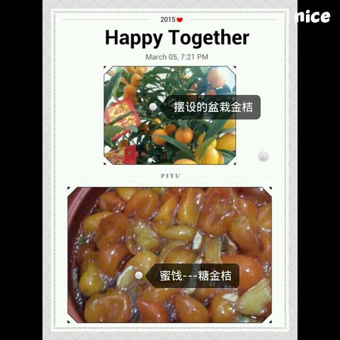 journal_insert_pic_204639592