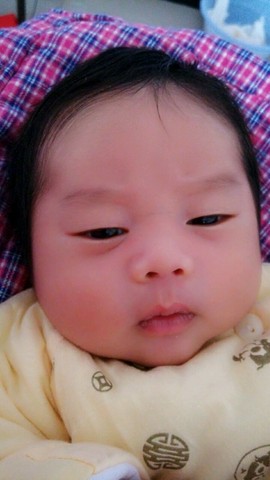 journal_insert_pic_205702921