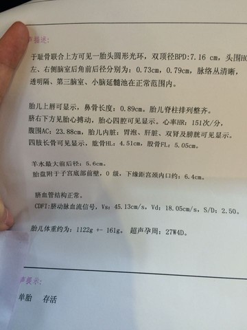 journal_insert_pic_206260827
