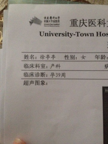 journal_insert_pic_206276396