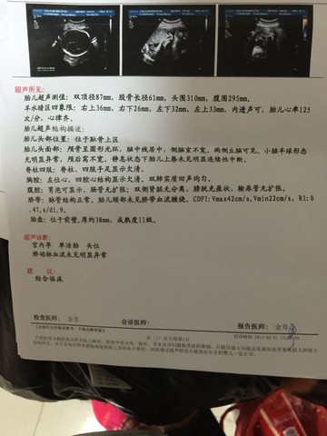 journal_insert_pic_206318429