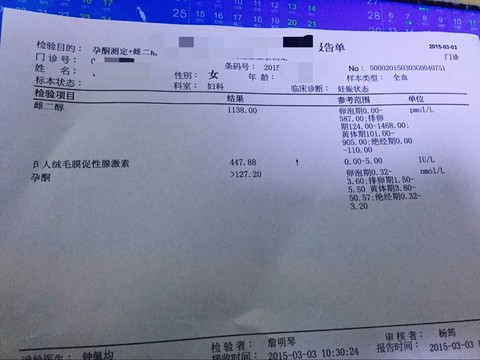 journal_insert_pic_206623618
