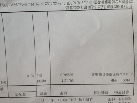 journal_insert_pic_207204880