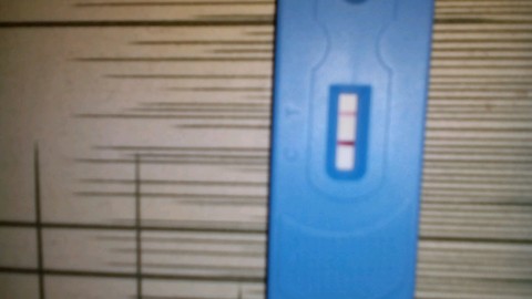 journal_insert_pic_207892007