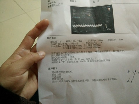 journal_insert_pic_208478148