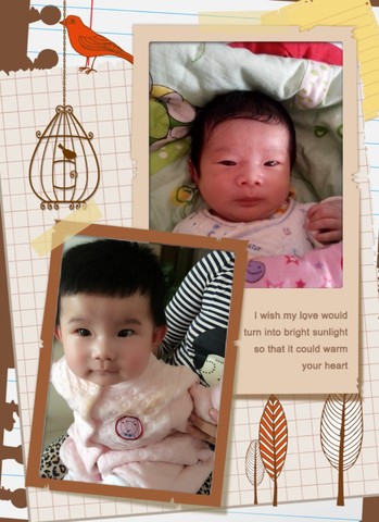 journal_insert_pic_208681821