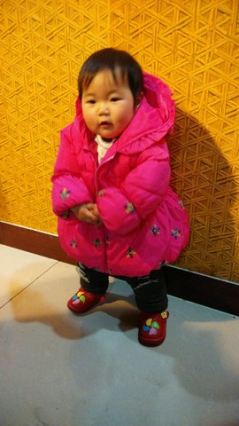 journal_insert_pic_208740200