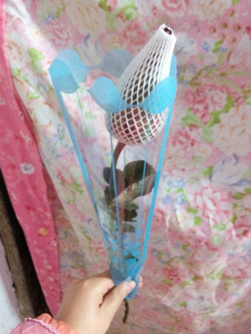 journal_insert_pic_209810353