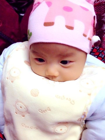 journal_insert_pic_210810892
