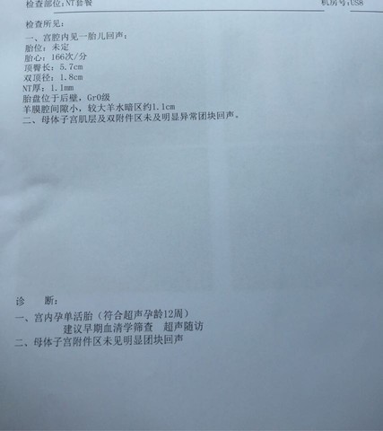 journal_insert_pic_211122208