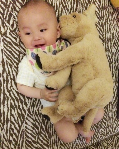 journal_insert_pic_212053563