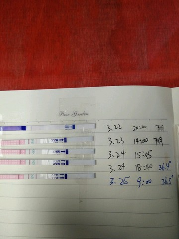 journal_insert_pic_211783920