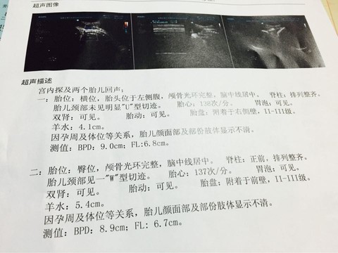 journal_insert_pic_213181016