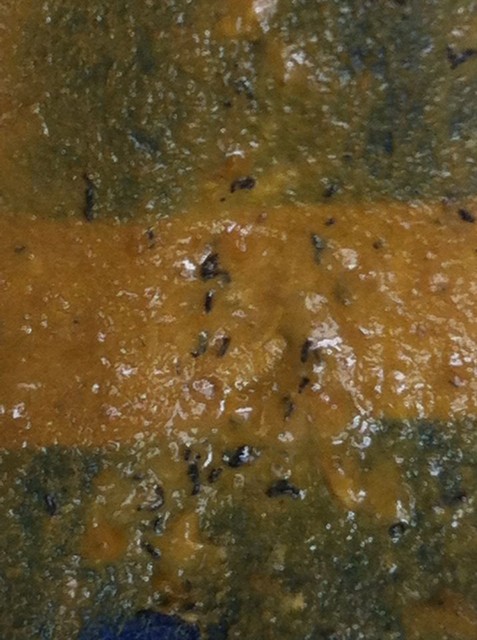 宝宝九个月了最近大便里有黑点点近看是很细很短的黑条条,怎么回事,求