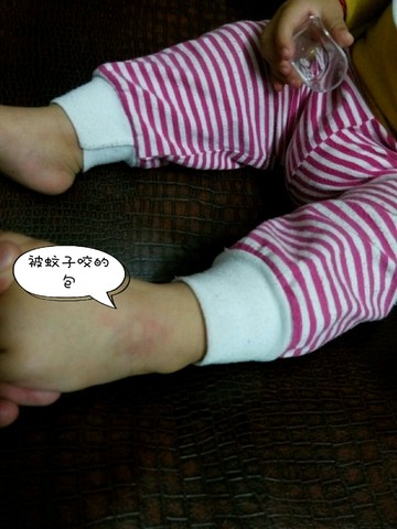 journal_insert_pic_213927148