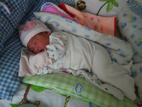 journal_insert_pic_213747230