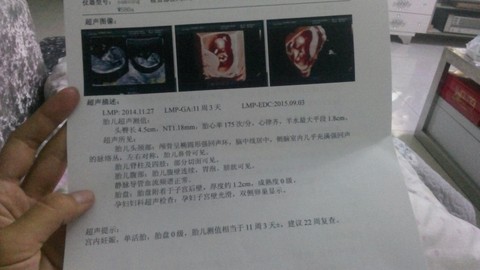 journal_insert_pic_213865339
