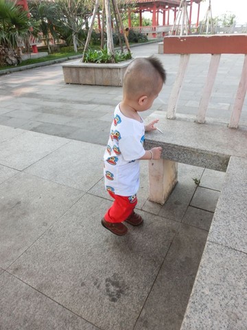 journal_insert_pic_215534293
