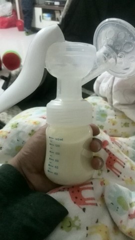 journal_insert_pic_215694490