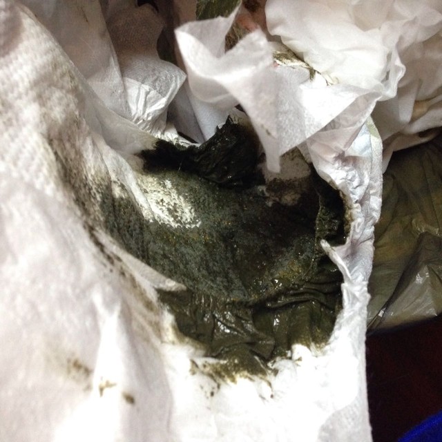 吃纽康特的有吗?