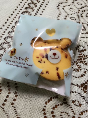 journal_insert_pic_216588942