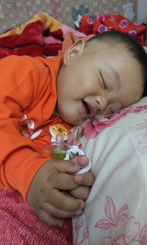 journal_insert_pic_216973855
