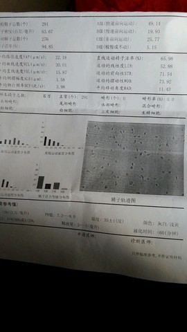 journal_insert_pic_217602620