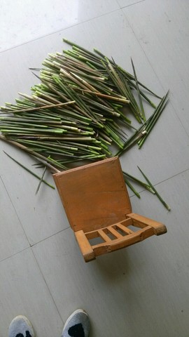 journal_insert_pic_219239038