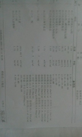 journal_insert_pic_220082518