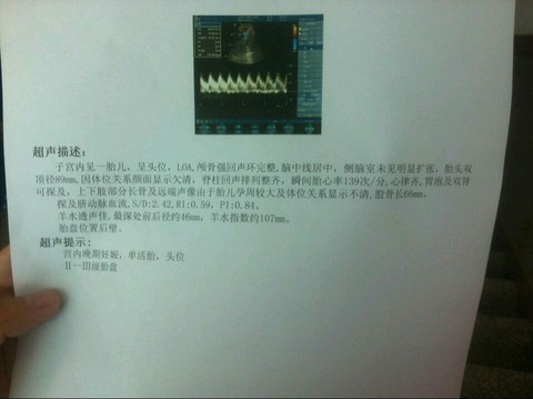 journal_insert_pic_220781944