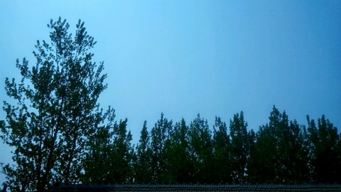 journal_insert_pic_221060784
