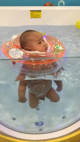 journal_insert_pic_222717350