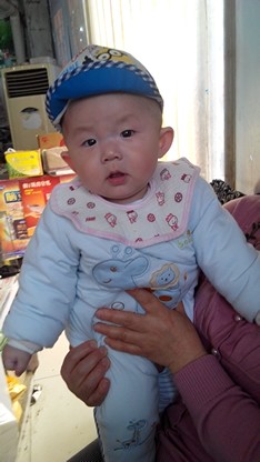 journal_insert_pic_223305654