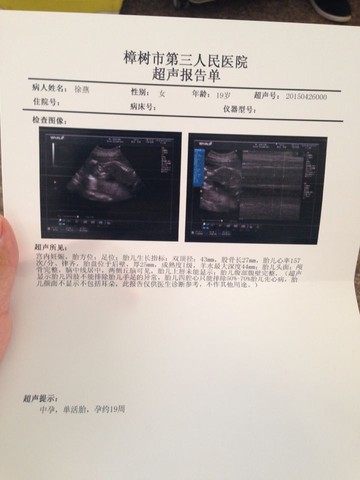 journal_insert_pic_223895374