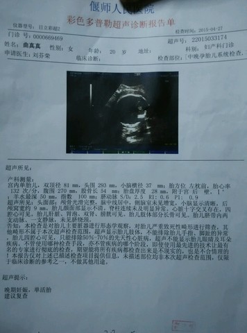 journal_insert_pic_224435524