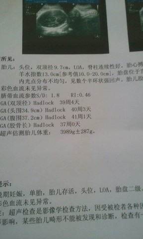 journal_insert_pic_224212479