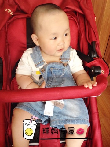 journal_insert_pic_224523951