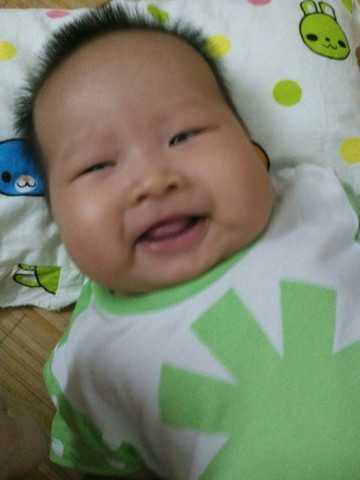 journal_insert_pic_231405367