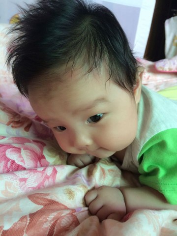 journal_insert_pic_231587392