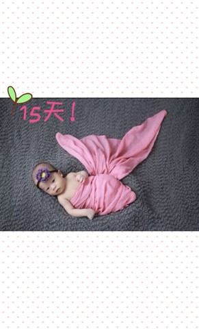 journal_insert_pic_231784240