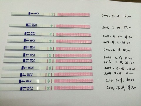 journal_insert_pic_232216070