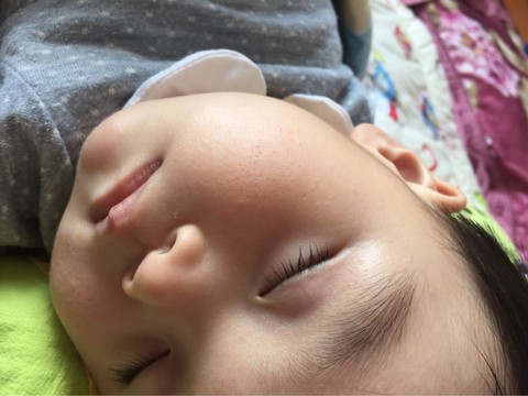 journal_insert_pic_233614772