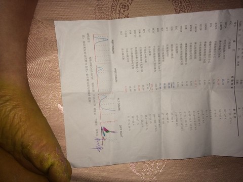 journal_insert_pic_234400299