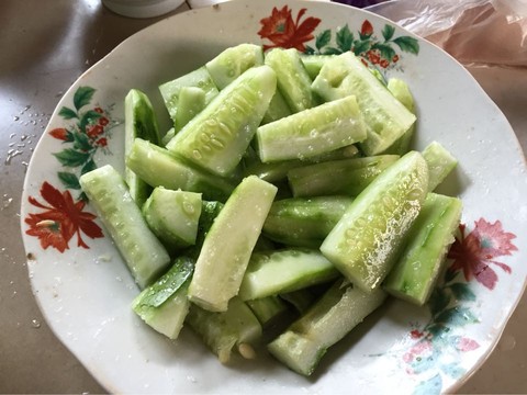 journal_insert_pic_235474462