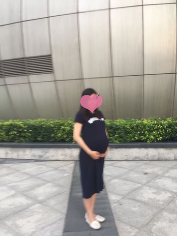 journal_insert_pic_235172273