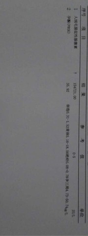 journal_insert_pic_236339591