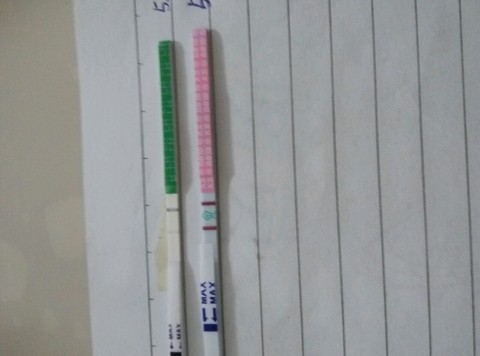 journal_insert_pic_236470024