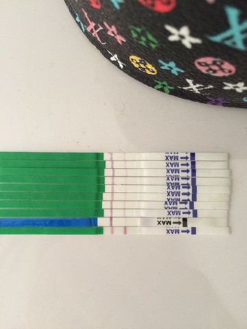 journal_insert_pic_236759030